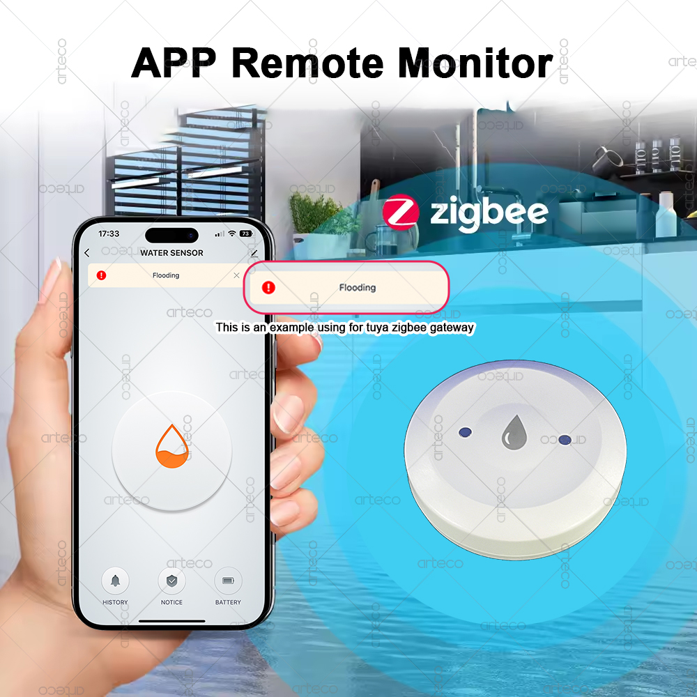 Smart Zigbee Water Sensor Floo - مراجعة Smart Home Gateway وسعره