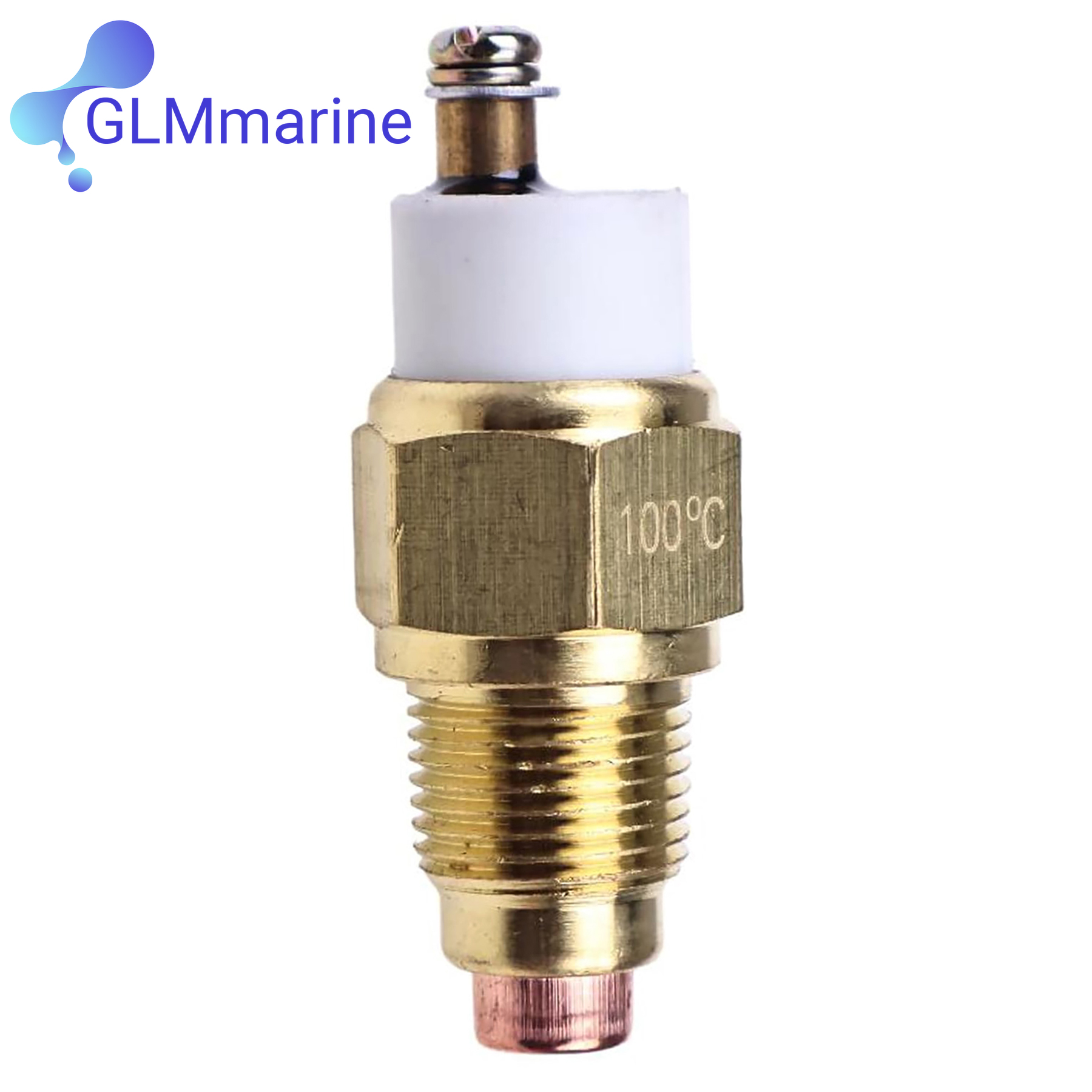 100°C Water Temperature Sensor - مراجعة Temperature Sensor وسعره