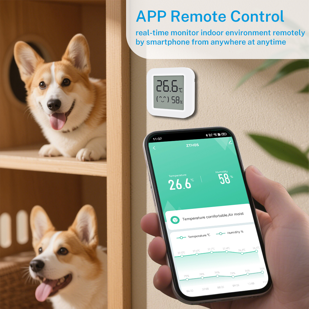 Zigbee2MQTT Tuya Temperature H - مراجعة Smart Home Alexa وسعره